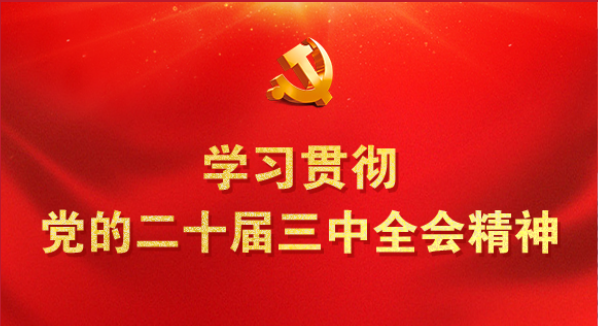学习贯彻党的二十届三中全会精神