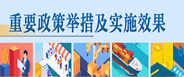 重要政策举措及实施效果