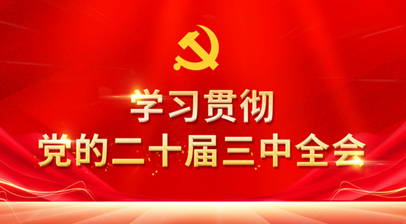 学习贯彻党的二十届三中全会精神